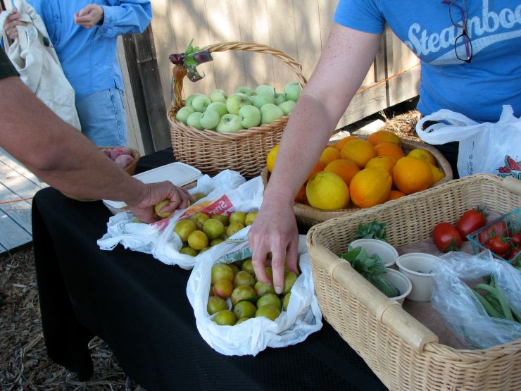 garden share table shot