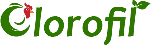 clorofil-logo-text300px