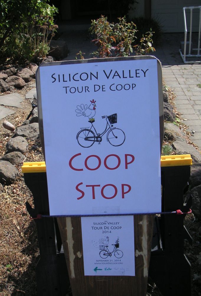 MINOLTA DIGITAL CAMERA