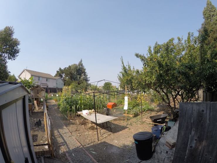 11811425_1183472611668783_7108743890448149403_n