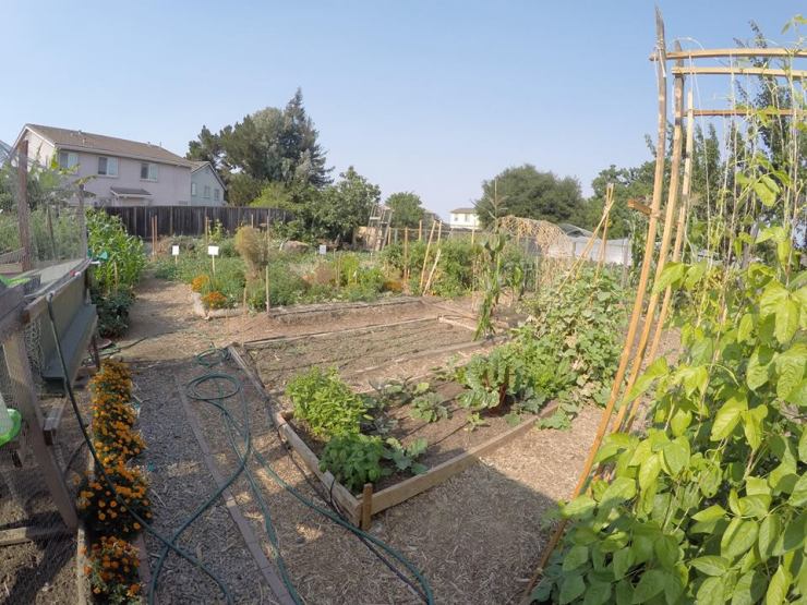 11826022_1183472638335447_8378559665025866107_n