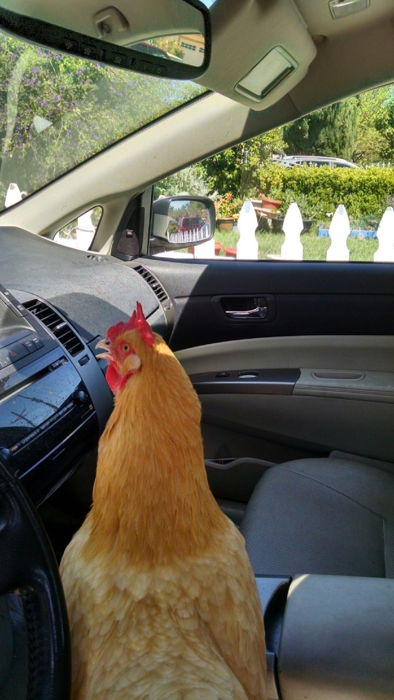 IMG_20150329_134736883_HDR