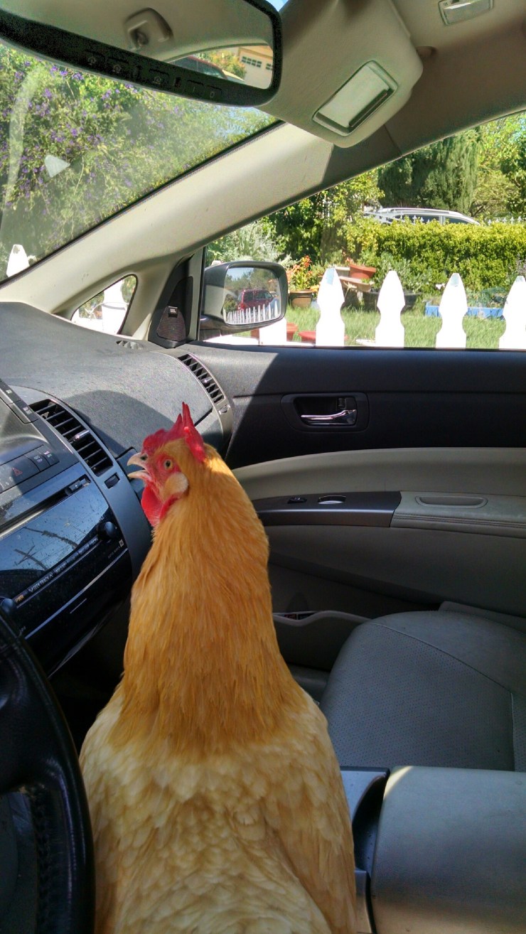 IMG_20150329_134736883_HDR