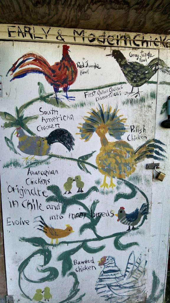 IMG_20150919_162449737_HDR