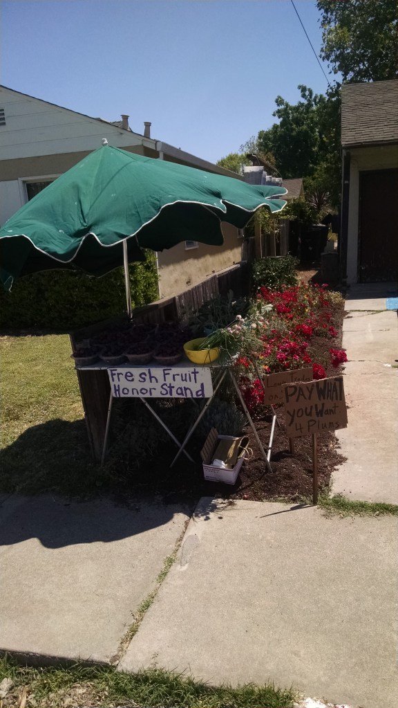 img_20160703_1212487381