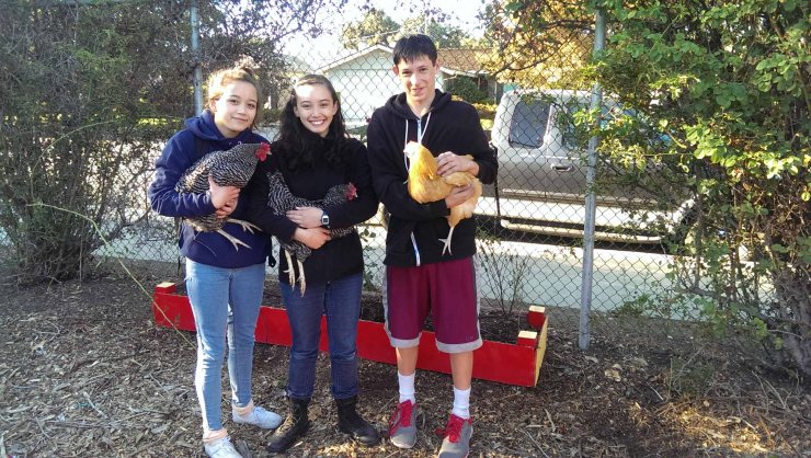 willow-glen-update-7