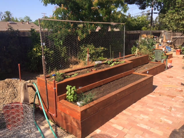 gardenbed2-2017