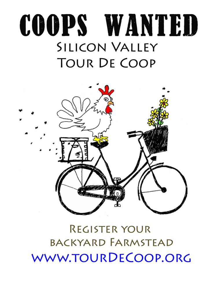 coopwantedgenericx1000