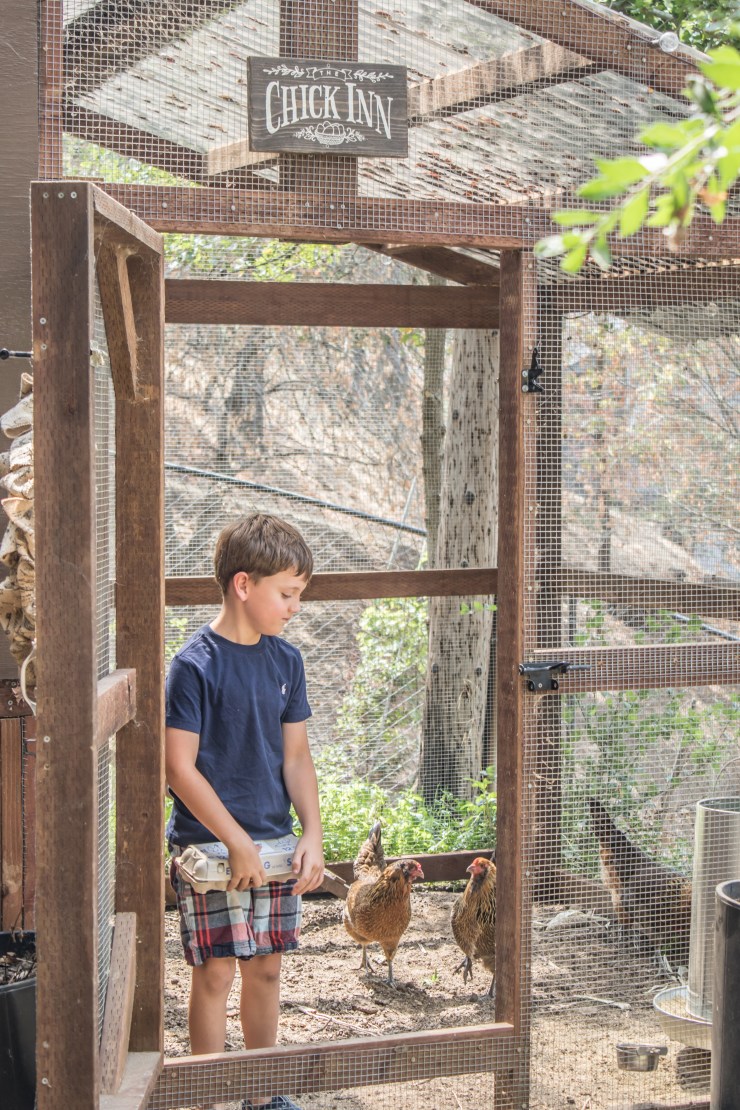 Budding businesses-8