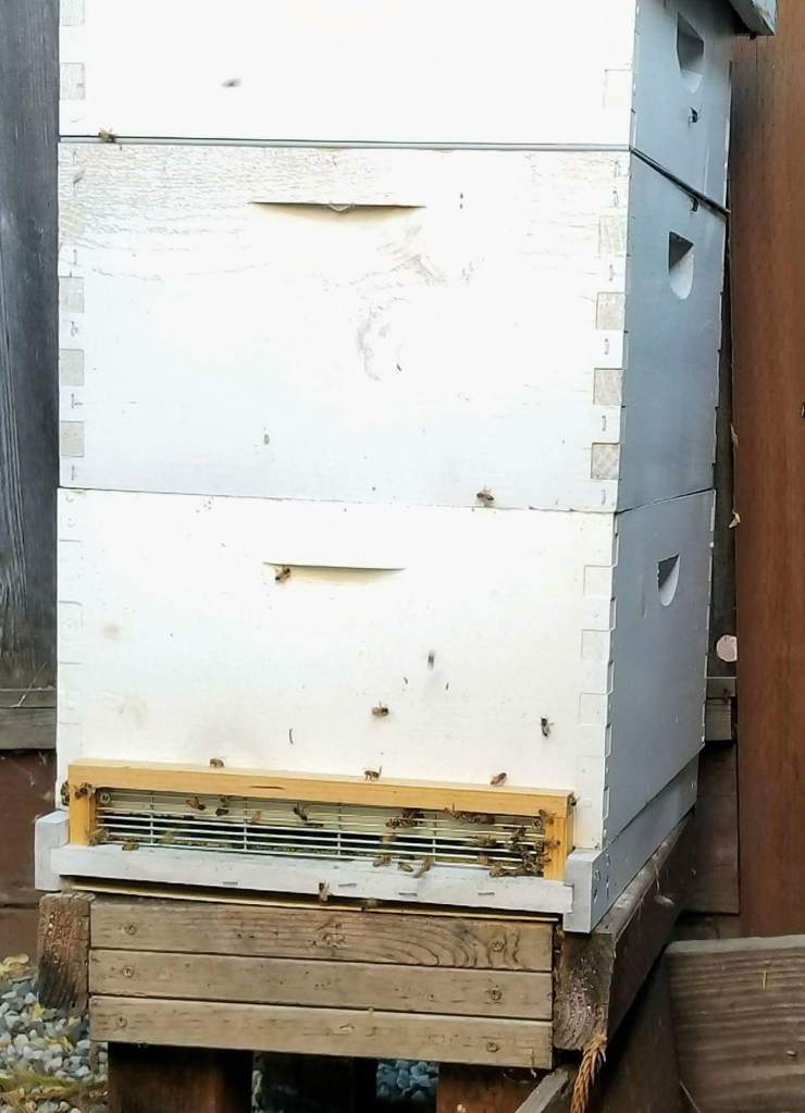 FB_IMG_1535221902690