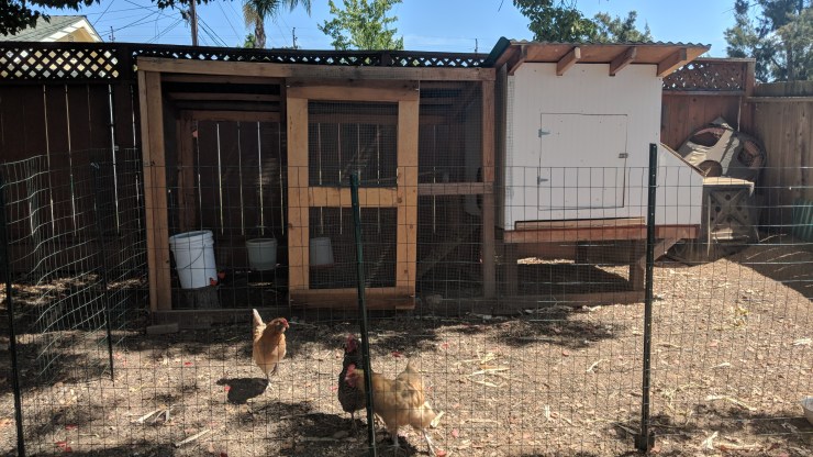 MVIMG_20180829_125715