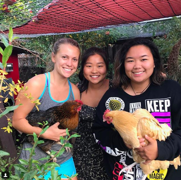 Screen Shot 2018-05-12 at 10.24.34 PM