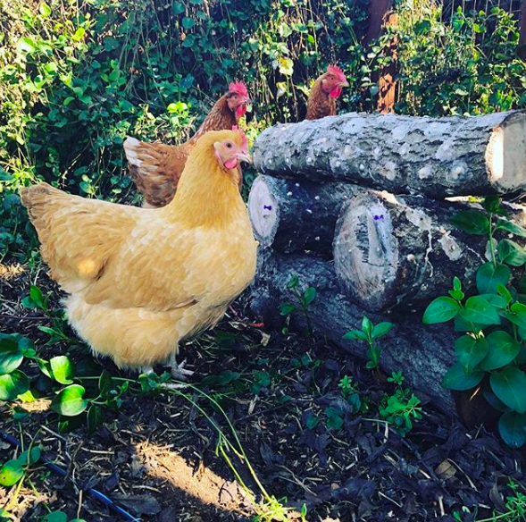 Screen Shot 2018-05-12 at 10.25.35 PM